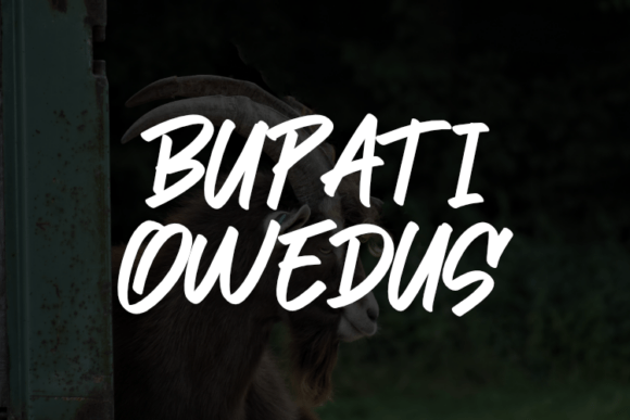 Bupati Owedus – A Stylish Script Font