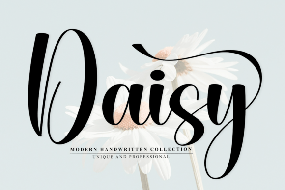 Daisy3: A Stylish Script Font for Editorial Design