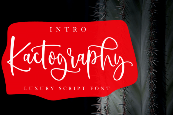 Kactography: A Stylish Script Font
